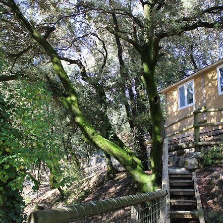 فيلا Le Domaine Du Naizadou Chalet Lou Grilh La Barriére المظهر الخارجي الصورة