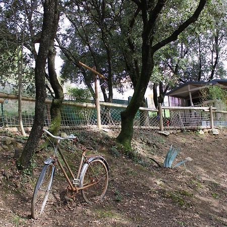 فيلا Le Domaine Du Naizadou Chalet Lou Grilh La Barriére المظهر الخارجي الصورة