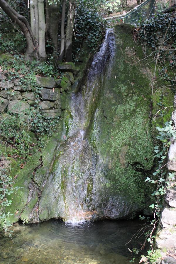 فيلا Le Domaine Du Naizadou Chalet Lou Grilh La Barriére المظهر الخارجي الصورة