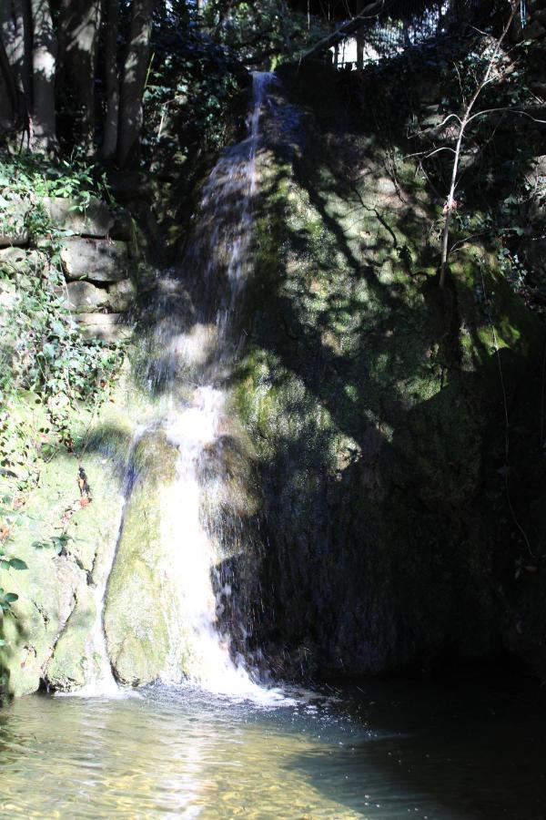 فيلا Le Domaine Du Naizadou Chalet Lou Grilh La Barriére المظهر الخارجي الصورة
